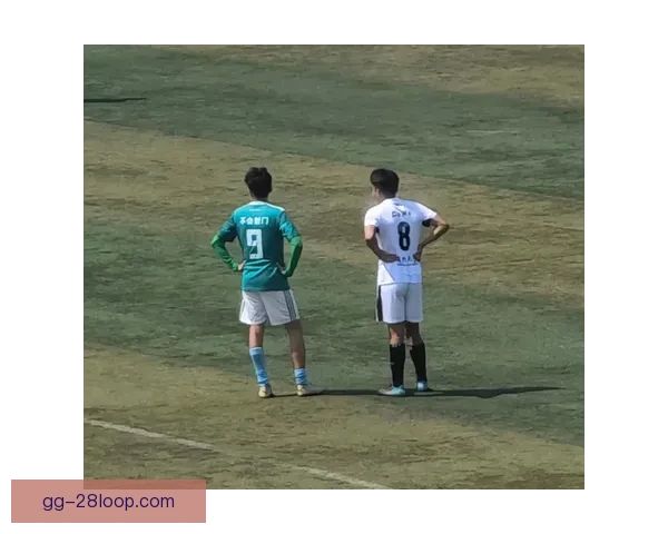 2026世界杯温哥华赛区将在史丹利公园举办盛大球迷节活动庆祝足球激情