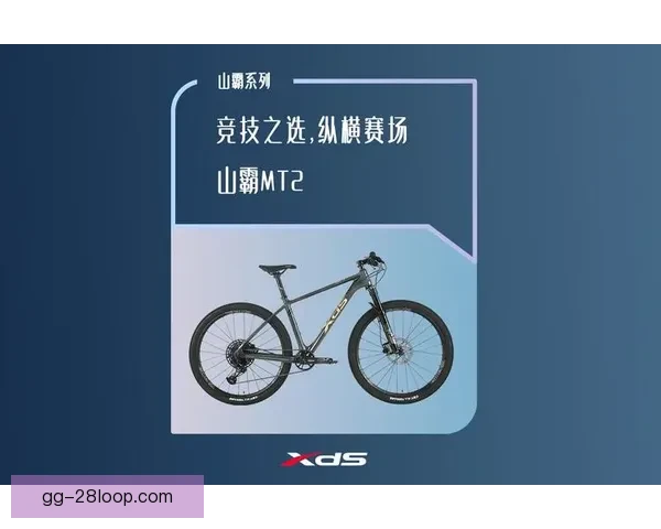 世俱杯赛场高强度对抗下球队竞技表现综合评估模型与方法探索